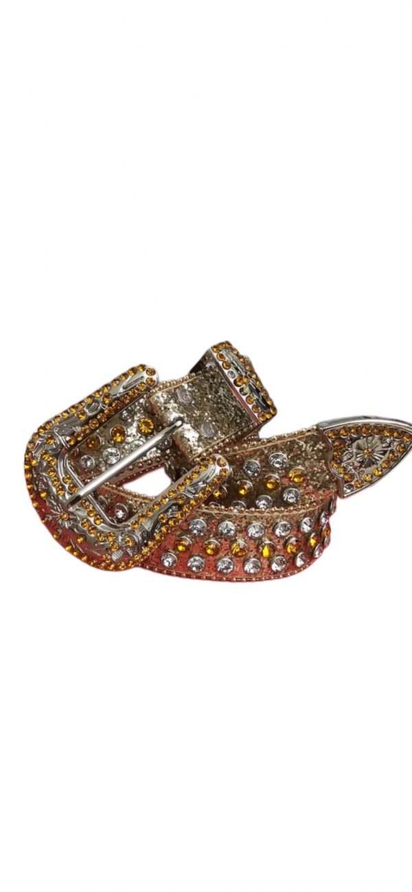 BELTS